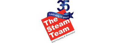 The Steam Team Logo